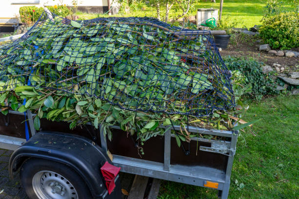 Best Estate Cleanout  in Pine Lawn, MO